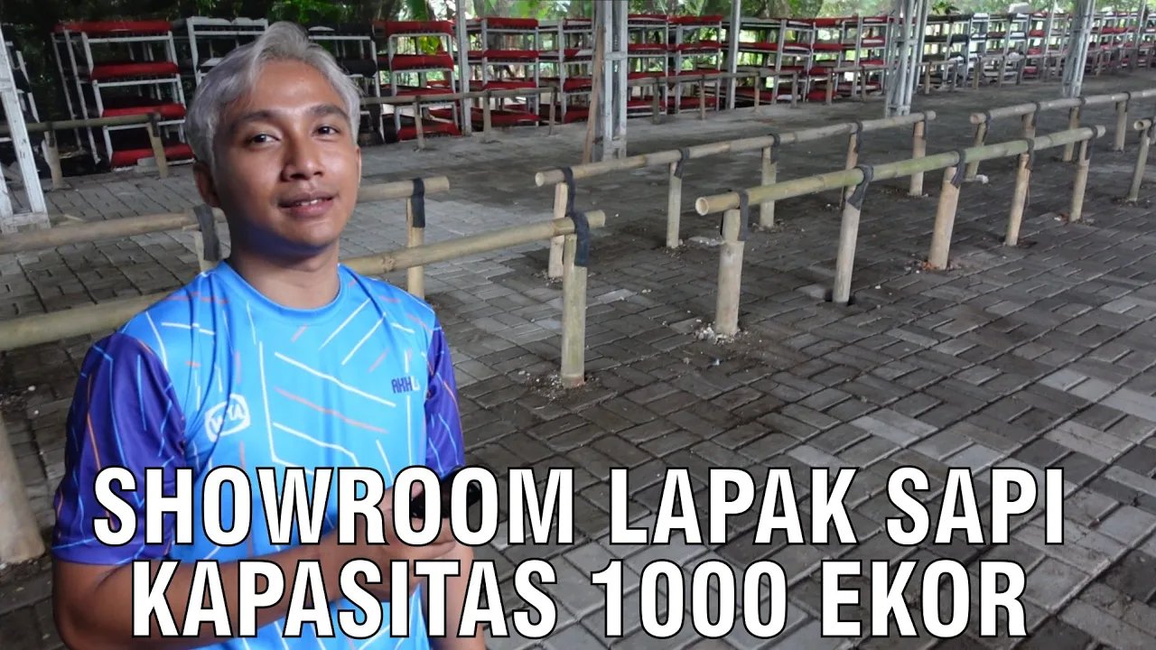 
                                 Inovasi-Showroom-Lapak-Sapi-Kapasitas-1000-Ekor
